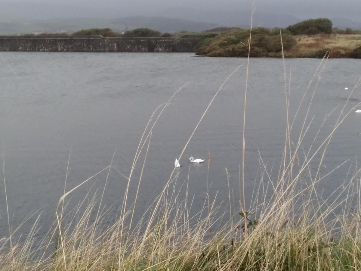 Driftwood Cottage Port Haverigg Marina Village Millom Εξωτερικό φωτογραφία